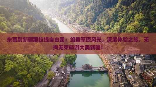 东营到新疆那拉提自由团
