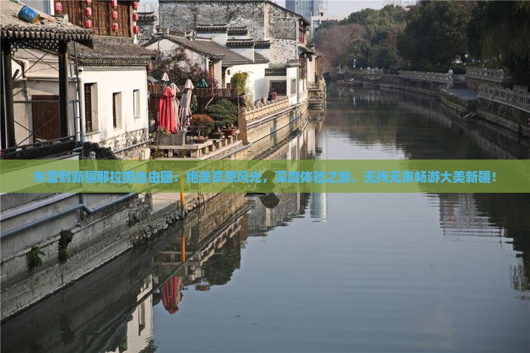 东营到新疆那拉提自由团