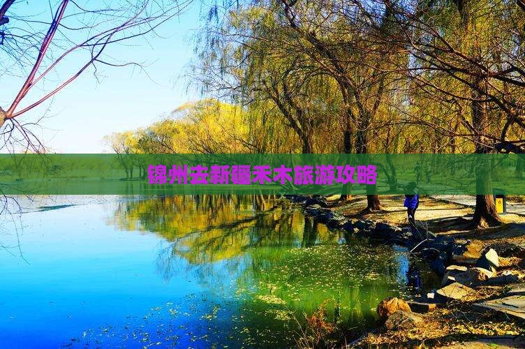 锦州去新疆禾木攻略