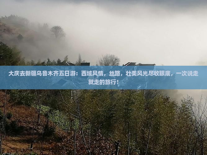 大庆去新疆乌鲁木齐五日游