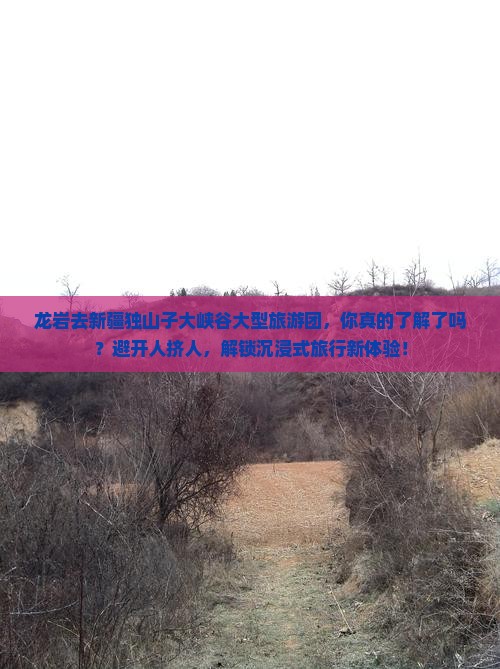 龙岩去新疆独山子大峡谷大型旅游团