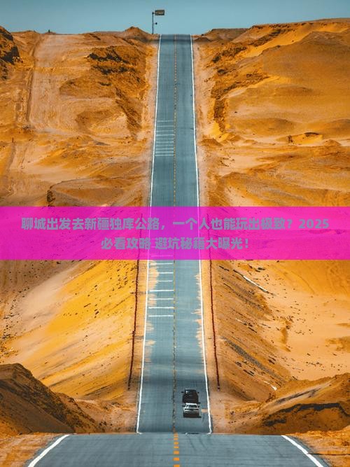 聊城去新疆独库公路个人游