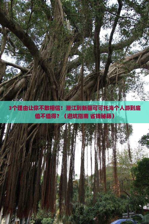 潜江到新疆可可托海个人游