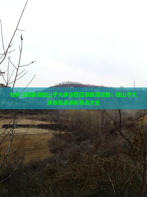 牡丹江到新疆独山子大峡谷四日游