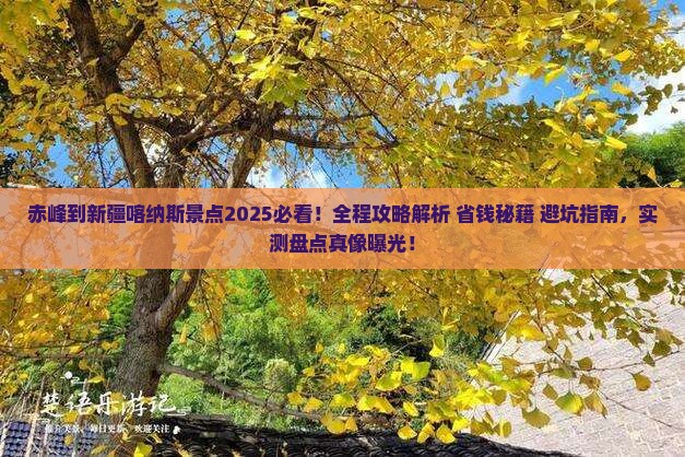 赤峰到新疆喀纳斯景点