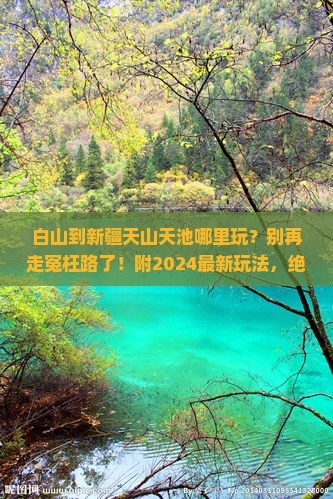 白山到新疆天山天池哪里玩