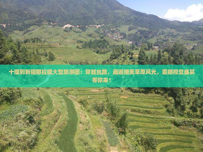 十堰到新疆那拉提大型旅游团