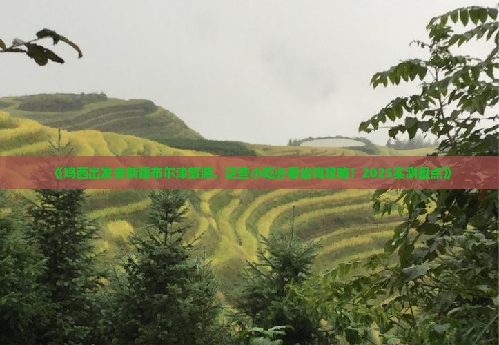 鸡西去新疆布尔津旅游小吃
