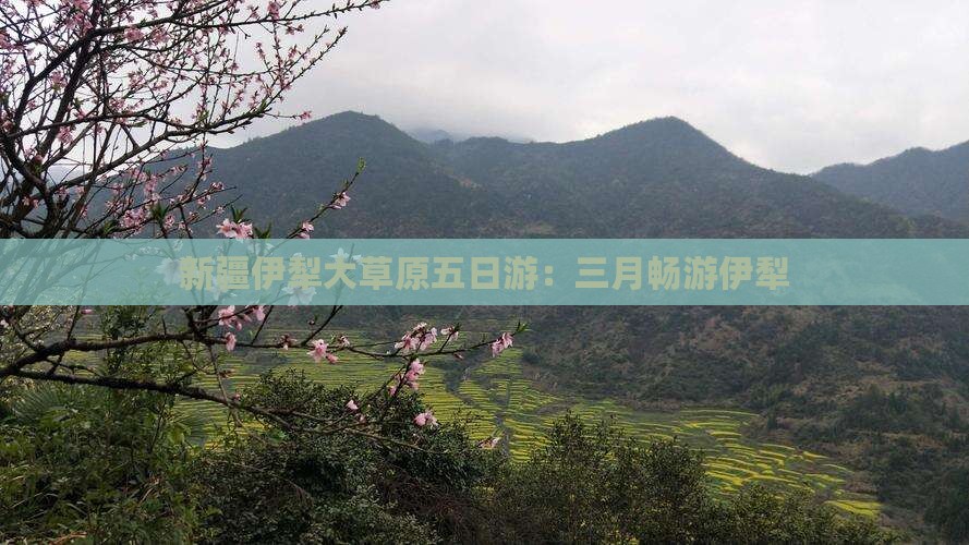 三月去新疆伊犁大草原五日游