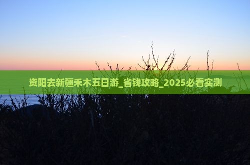 资阳去新疆禾木五日游