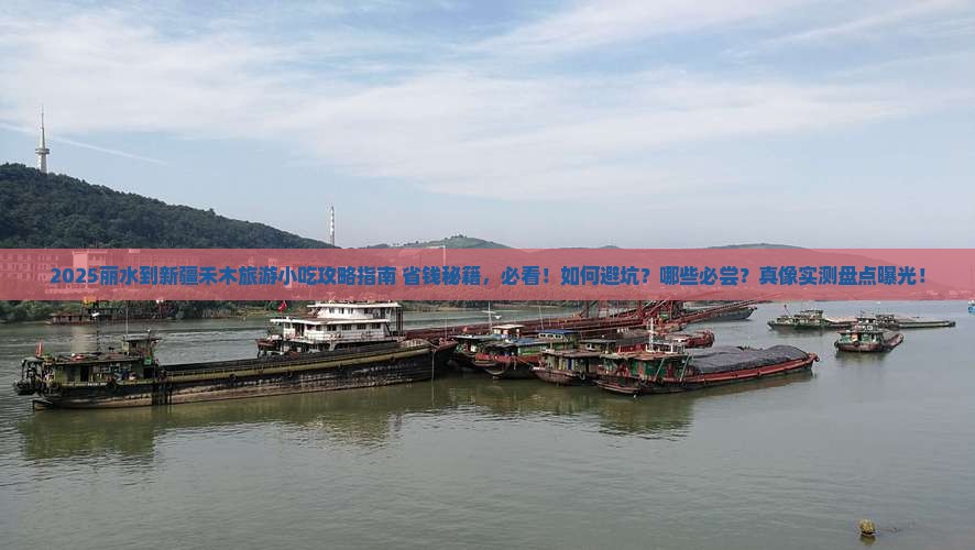 丽水到新疆禾木旅游小吃