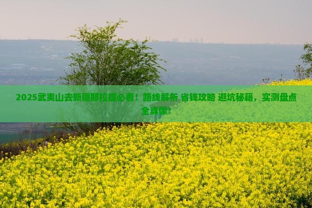武夷山去新疆那拉提景点