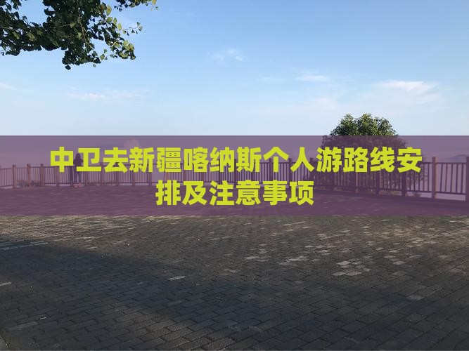 中卫去新疆喀纳斯个人游