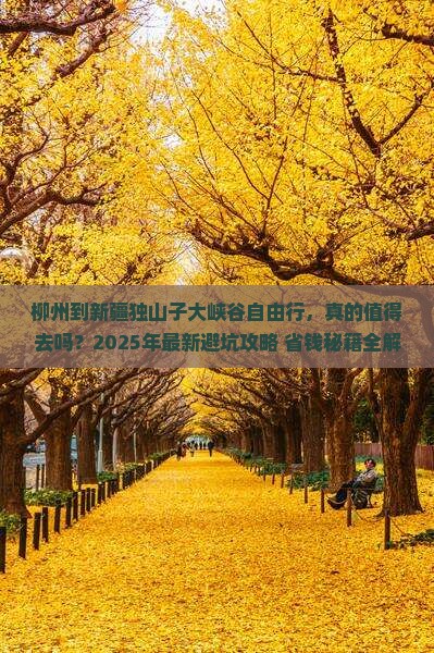 柳州到新疆独山子大峡谷自由行