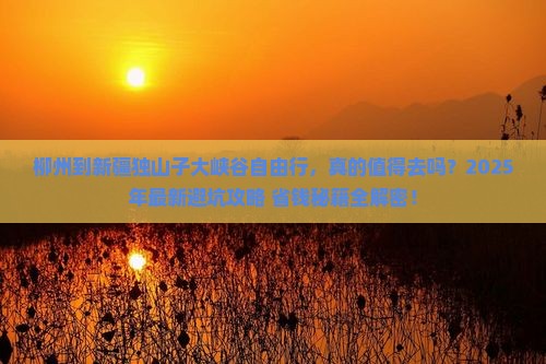 柳州到新疆独山子大峡谷自由行