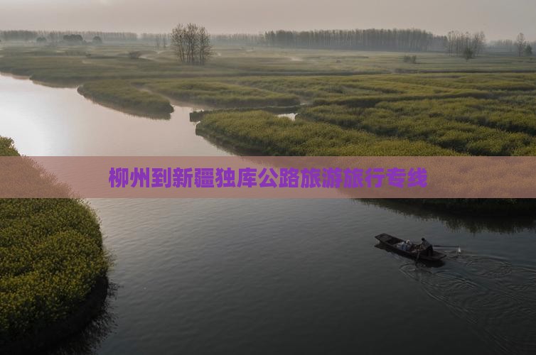 柳州到新疆独库公路旅行社