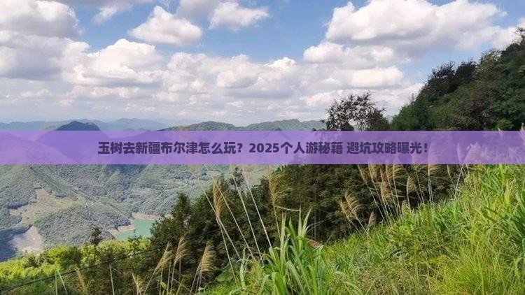 玉树去新疆布尔津个人游