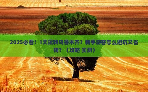 八月到新疆乌鲁木齐一日
