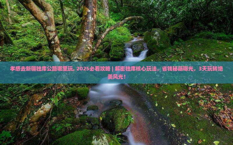 孝感去新疆独库公路哪里玩