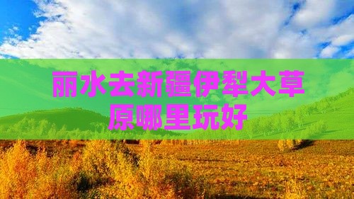 丽水去新疆伊犁大草原哪里玩