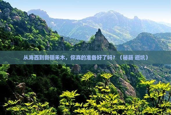 海西到新疆禾木旅游