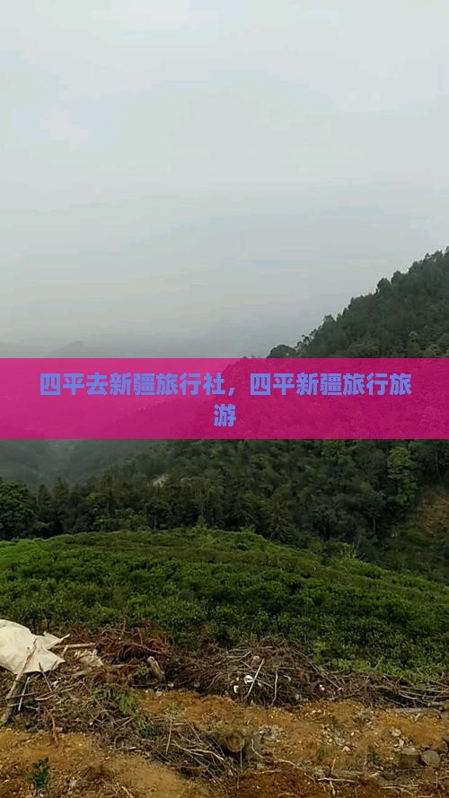 四平去新疆旅行社