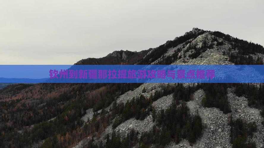 钦州到新疆那拉提一日