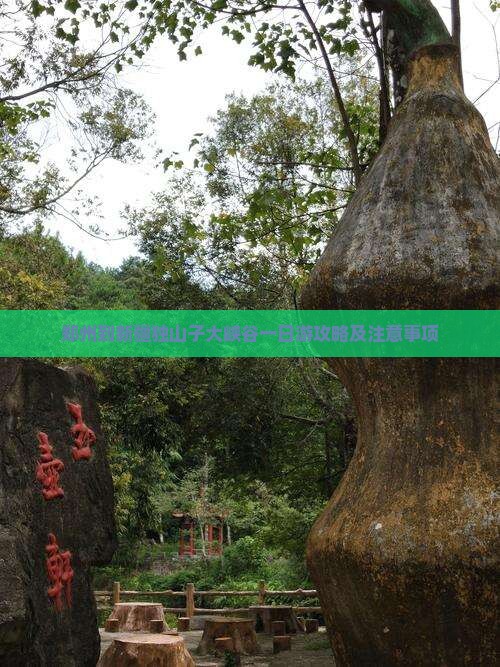郑州到新疆独山子大峡谷一日