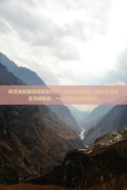 林芝去新疆喀纳斯旅行社