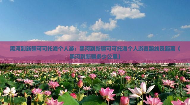 黑河到新疆可可托海个人游