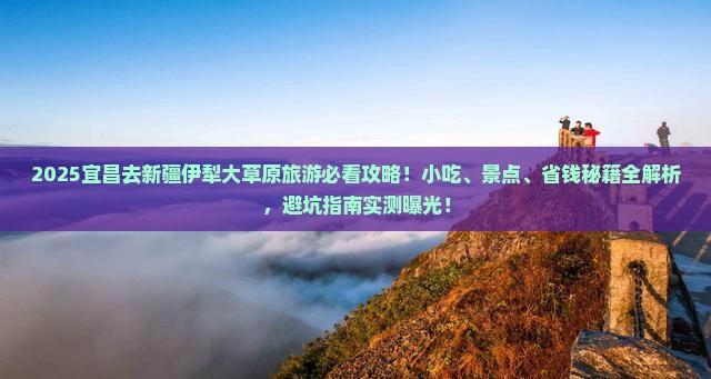 宜昌去新疆伊犁大草原旅游小吃