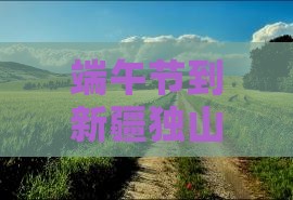 端午节到新疆独山子大峡谷旅游