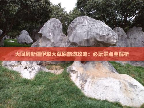 大同到新疆伊犁大草原哪里玩