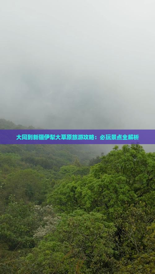 大同到新疆伊犁大草原哪里玩