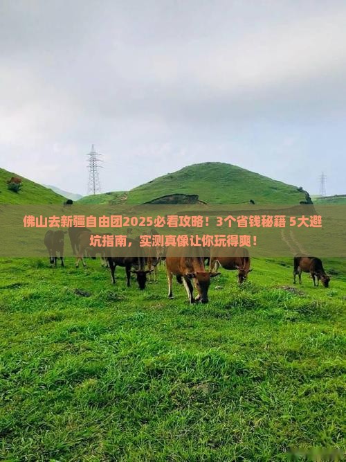 佛山去新疆自由团