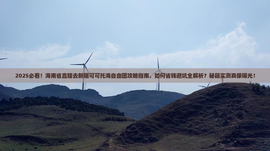 海南省直辖去新疆可可托海自由团