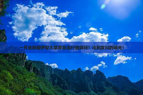 一月到新疆伊犁大草原自由行
