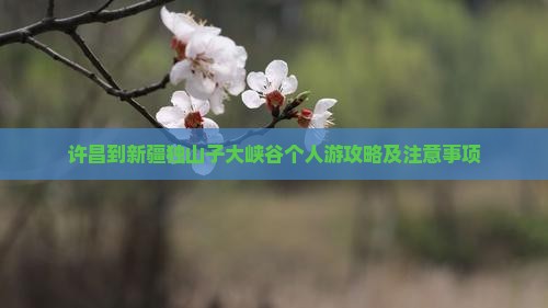 许昌到新疆独山子大峡谷个人游