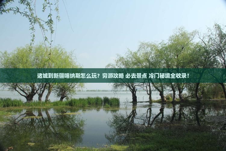 诸城到新疆喀纳斯哪里玩