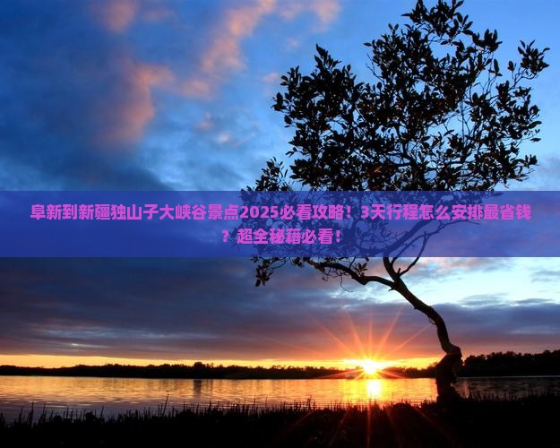 阜新到新疆独山子大峡谷景点