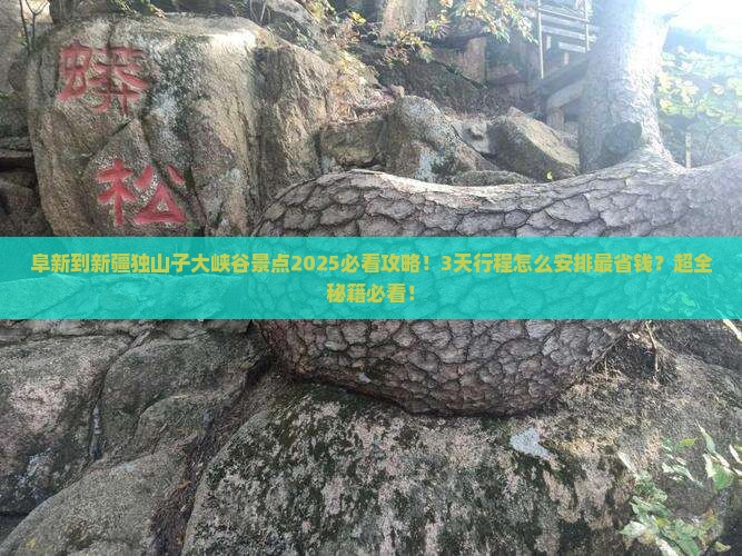 阜新到新疆独山子大峡谷景点