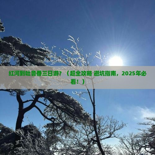 红河去新疆吐鲁番三日游