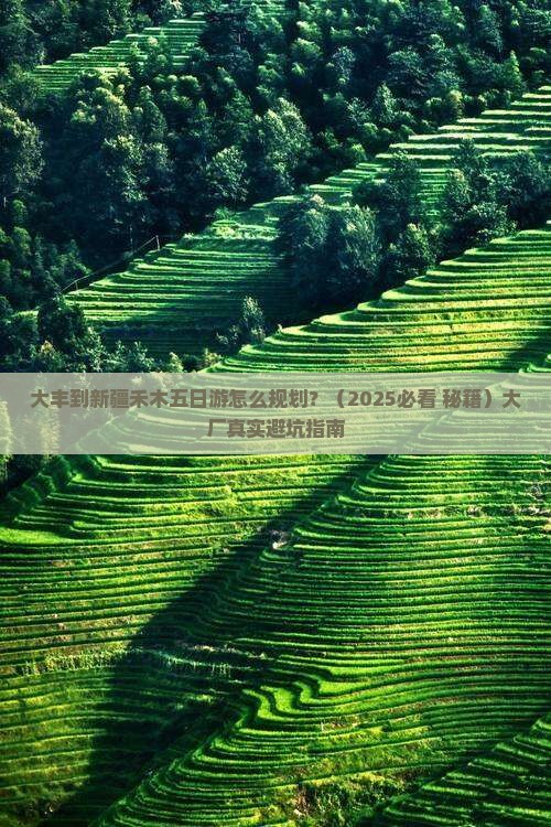 大丰到新疆禾木五日游 大丰到新疆禾木五日游