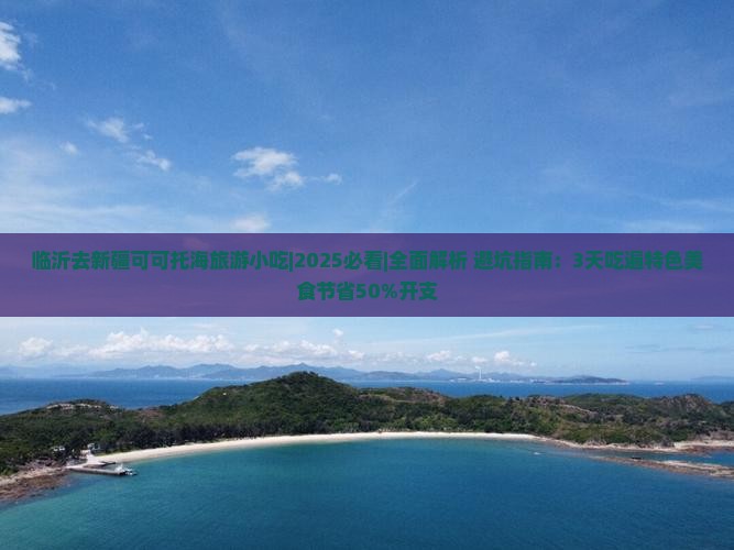 临沂去新疆可可托海旅游小吃