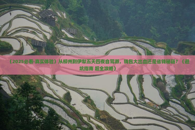 柳州到新疆伊犁大草原五日游
