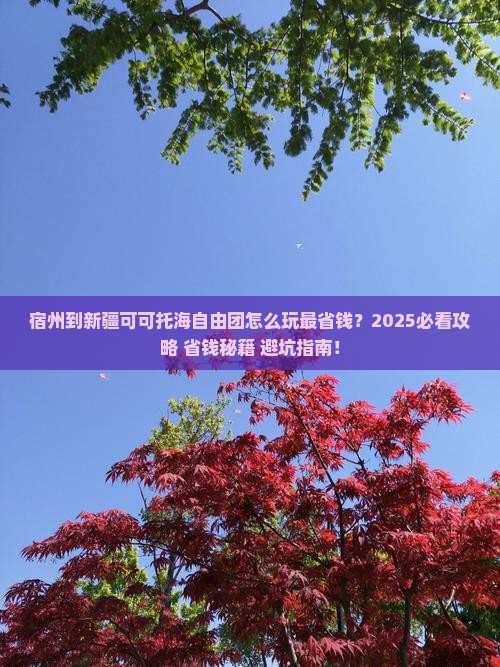 宿州到新疆可可托海自由团