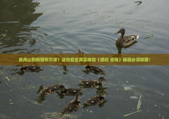 舟山去新疆布尔津攻略