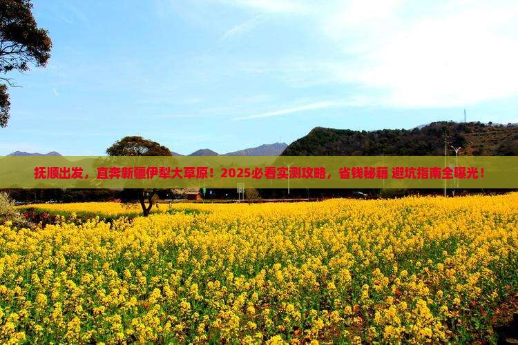 抚顺去新疆伊犁大草原旅游