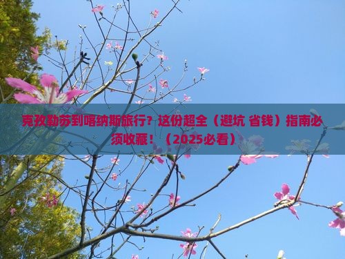克孜勒苏到新疆喀纳斯必去地