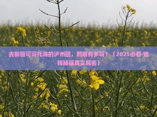 泸州去新疆可可托海大型旅游团